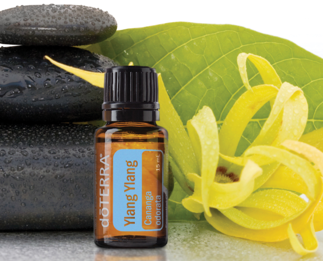 Ylang Ylang doTERRA